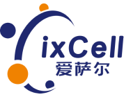 愛(ài)薩爾